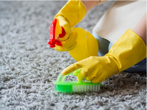 How to Prevent Carpet Mold? – Ultimate Guide to Mold Remediation