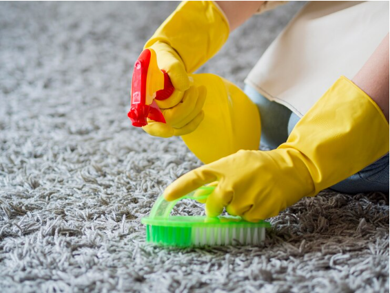 Frequent carpet cleaning as mold remediation.