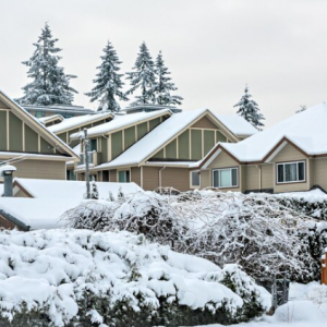 Why You Need Expert Restoration Services in Winter?