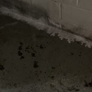 DIY or Professional Help: Weighing Options for Water Damage Cleanup