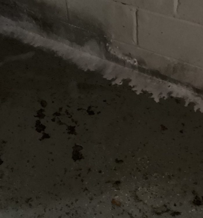 DIY or Professional Help: Weighing Options for Water Damage Cleanup