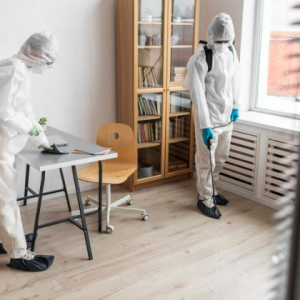 Mold Remediation – A Step-by-Step Guide