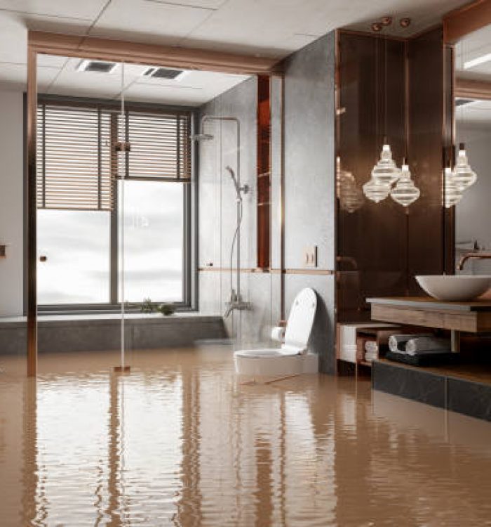 emergency water restoration