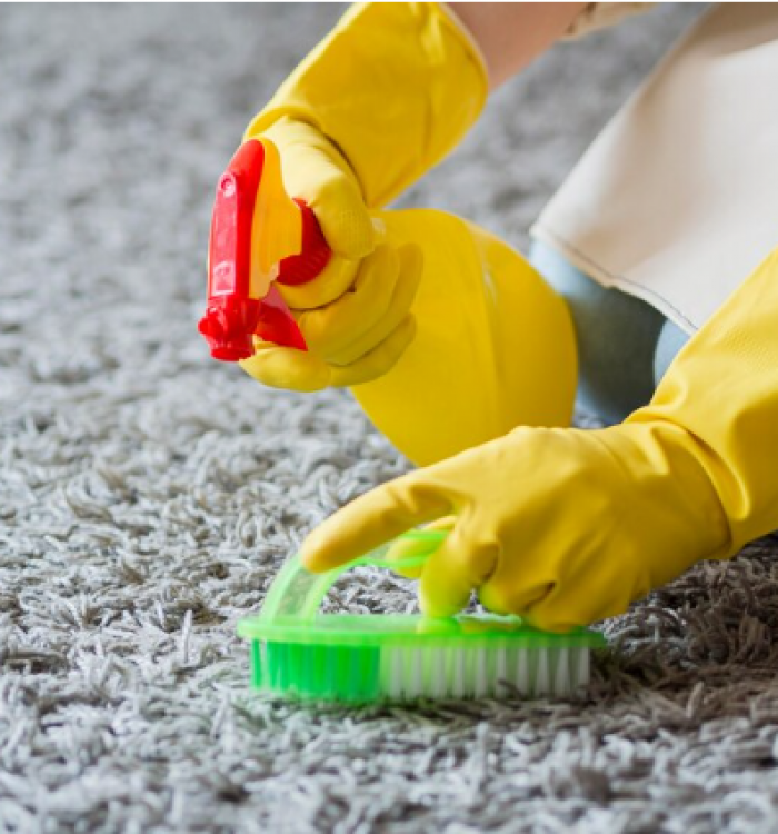 How to Prevent Carpet Mold? – Ultimate Guide to Mold Remediation