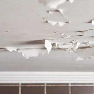 wet drywall repair